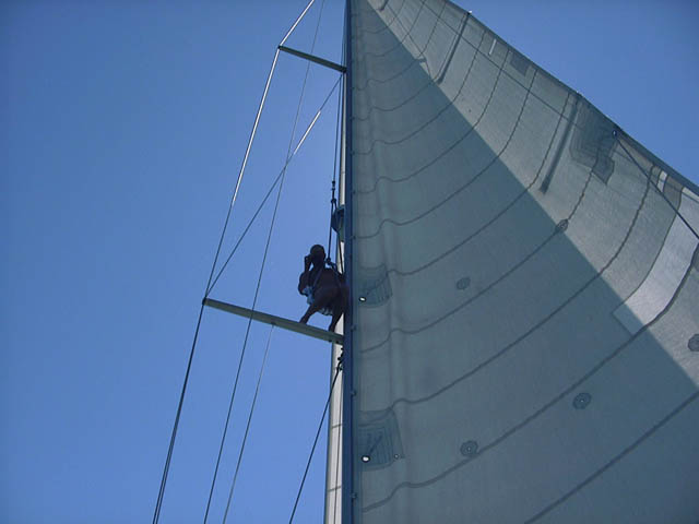Sail14